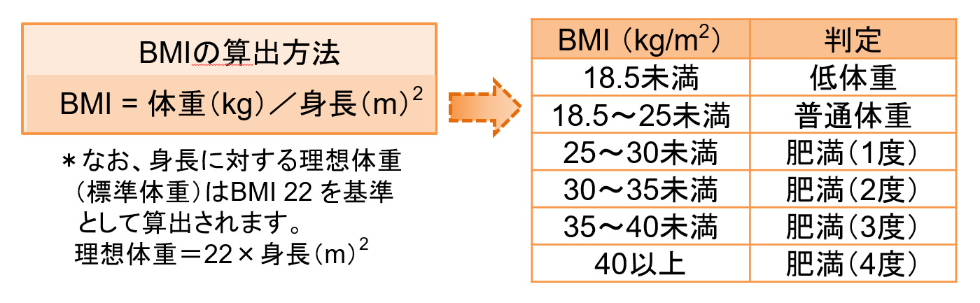 肥満の判定は